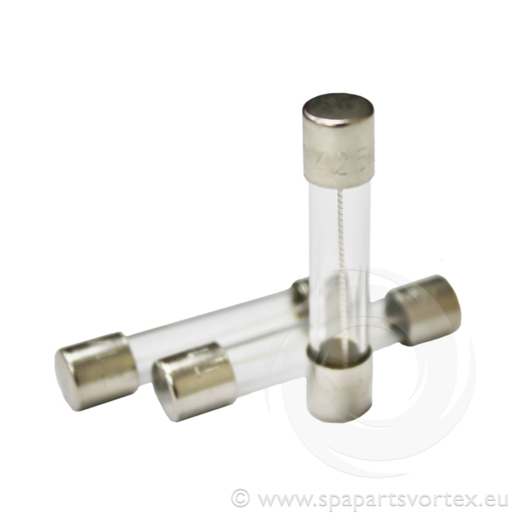 10A 31mm Glass Fuse A/S