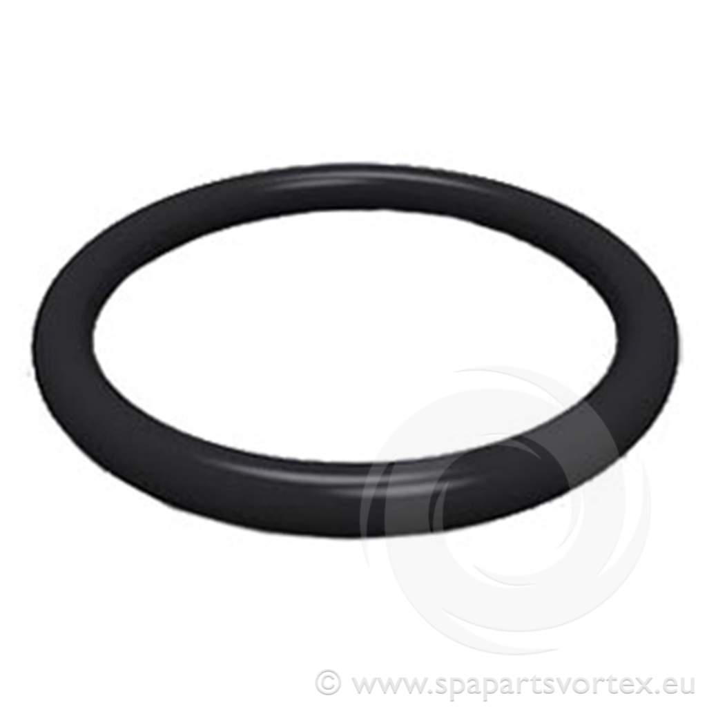 1 inch Union O-Ring