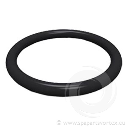 [PL-10179] 1" Union O-Ring